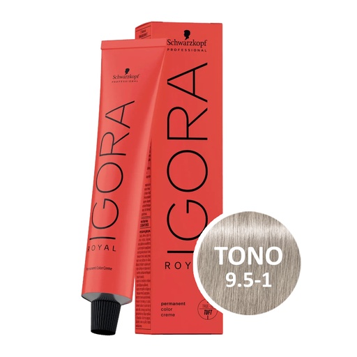 [0042] 9.5-1 IGORA ROYAL