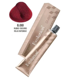 ALFAPARF  MILANO EVOLUTION  TINTE  NO. 6.661 60ML